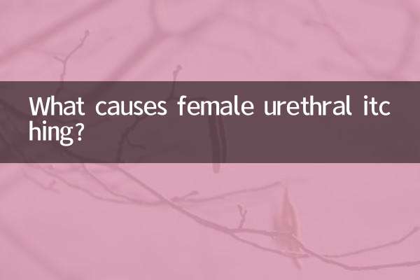 ¿Qué causa la picazón uretral femenina?