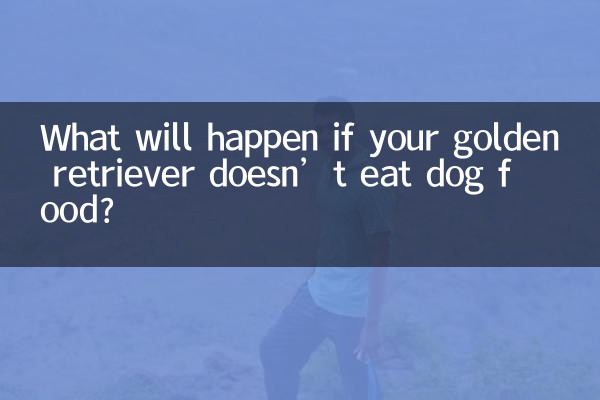 Que se passera-t-il si votre golden retriever ne mange pas de nourriture pour chien ?