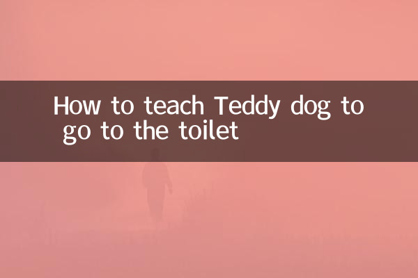 Come insegnare al cane Teddy ad andare in bagno