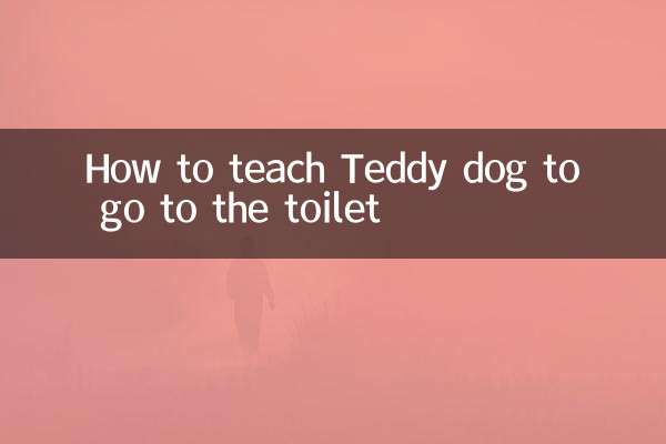 Come insegnare al cane Teddy ad andare in bagno