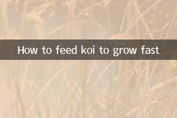 কিভাবে দ্রুত বৃদ্ধি koi খাওয়ানো