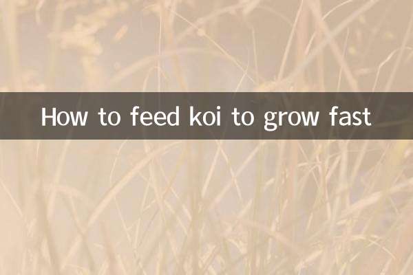 কিভাবে দ্রুত বৃদ্ধি koi খাওয়ানো