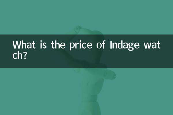 ¿Cuál es el precio del reloj Indage?