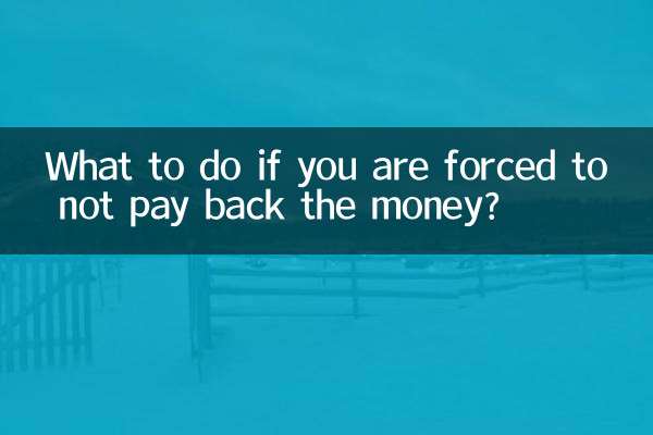 What to do if you are forced to not pay back the money?