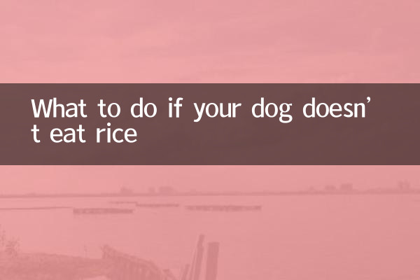 개가 밥을 먹지 않는다면 어떻게 해야 할까요?