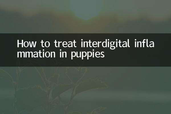 子犬の指間の炎症を治療する方法
