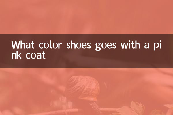 কি রঙ জুতা একটি গোলাপী কোট সঙ্গে যায়