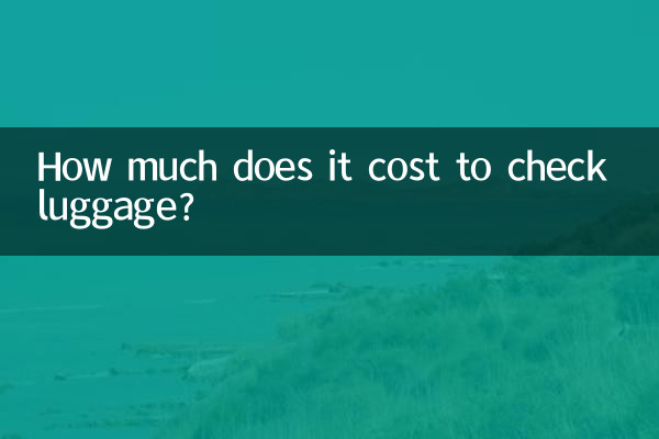 লাগেজ চেক করতে কত খরচ হয়?