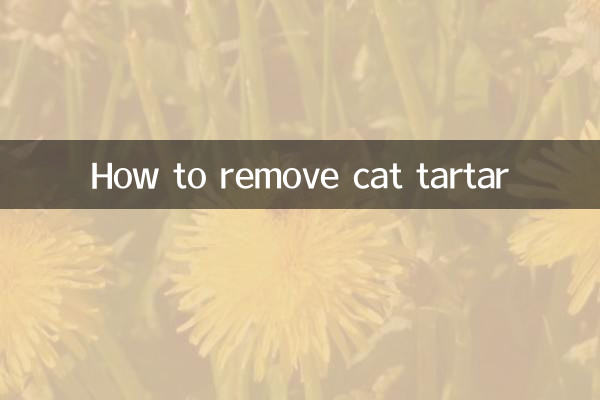 Come rimuovere il tartaro dal gatto