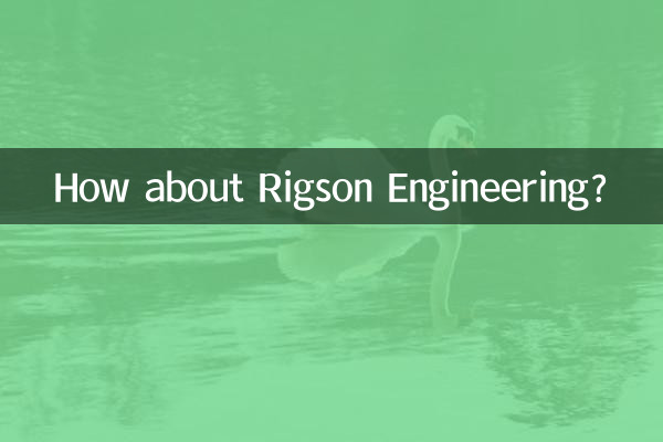 রিগসন ইঞ্জিনিয়ারিং সম্পর্কে কেমন?
