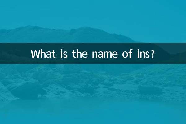 Qual è il nome di ins?