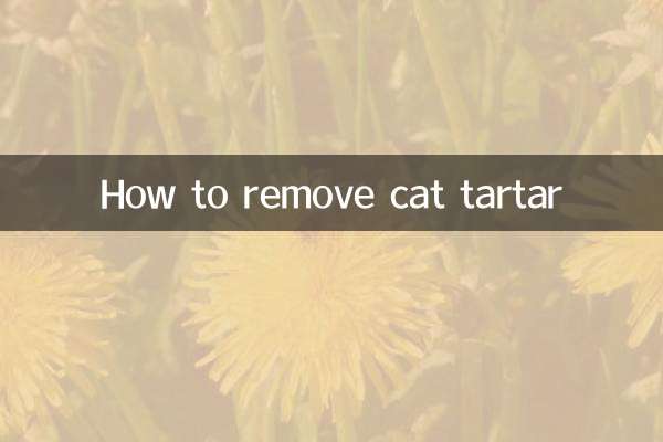 Come rimuovere il tartaro dal gatto