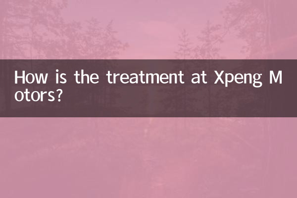 ¿Cómo es el trato en Xpeng Motors?