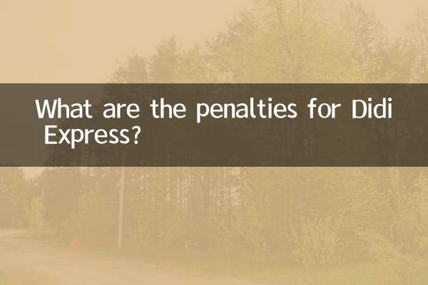 Quelles sont les sanctions pour Didi Express ?