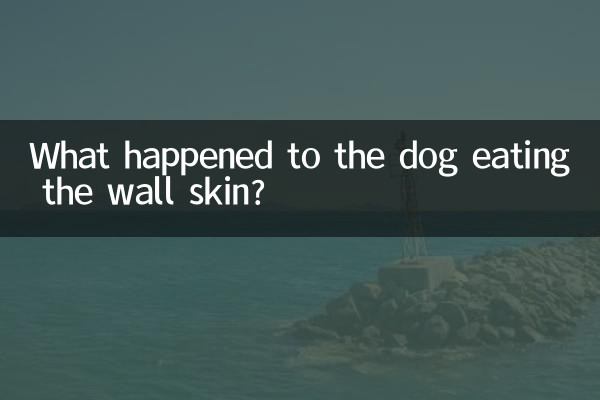 سگی که پوست دیوار را خورد چه شد؟