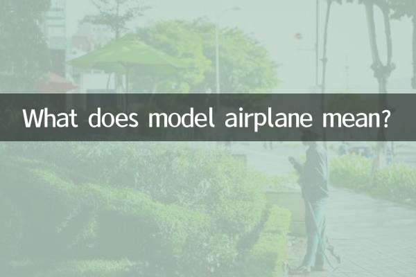 模型飛行機ってどういう意味ですか？