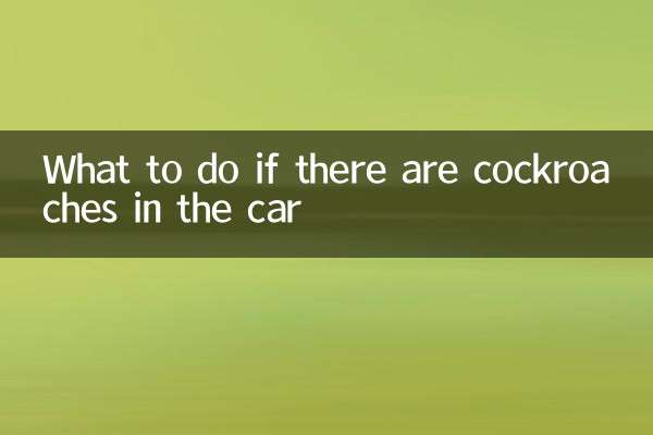 গাড়িতে তেলাপোকা থাকলে কী করবেন