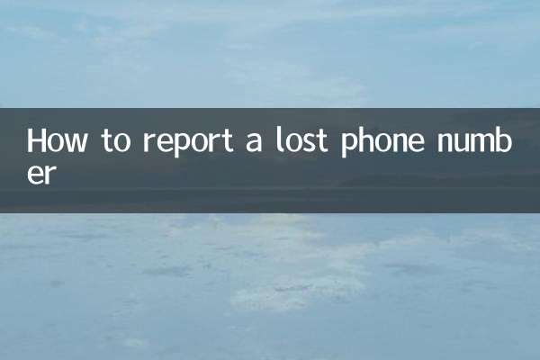 電話番号を紛失した場合の報告方法