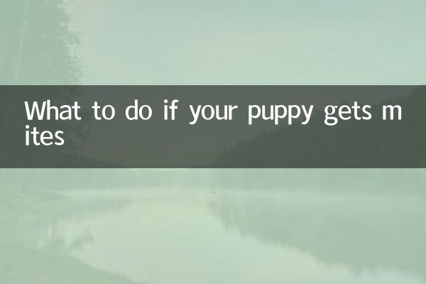 Cosa fare se il tuo cucciolo prende gli acari?