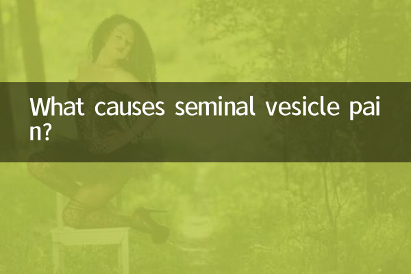 What causes seminal vesicle pain?