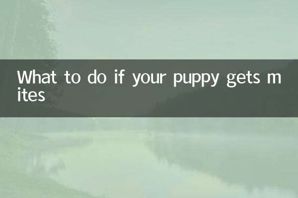 What to do if your puppy gets mites