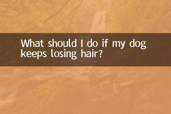 犬の毛が抜け続ける場合はどうすればよいですか?