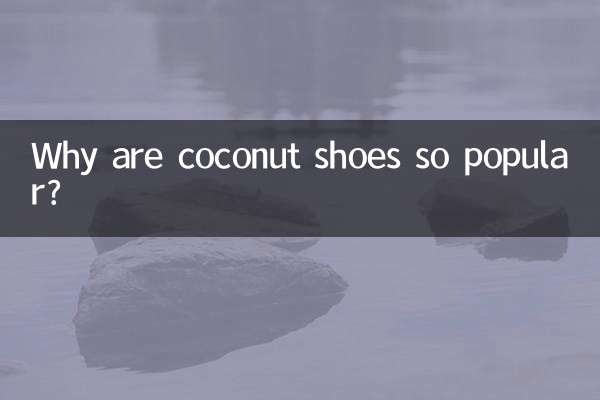 لماذا تحظى أحذية جوز الهند بشعبية كبيرة؟