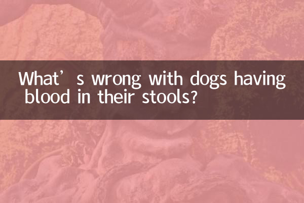狗狗便血是怎麼了