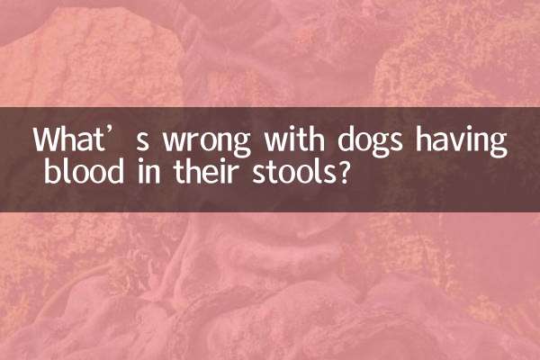 狗狗便血是怎麼了