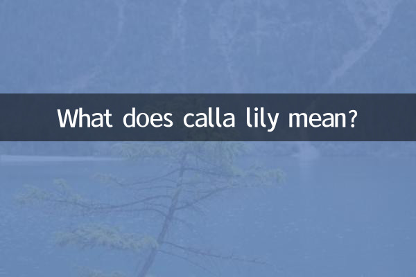 馬蹄蓮代表著什麼意思