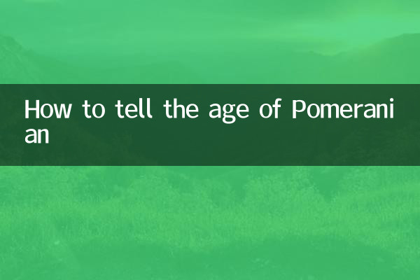 怎麼看博美年齡