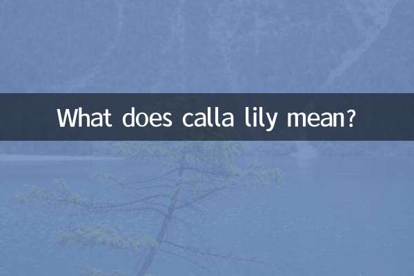 馬蹄蓮代表著什麼意思