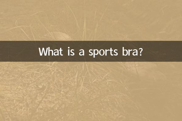 What is a sports bra?