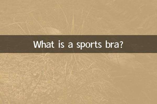 What is a sports bra?