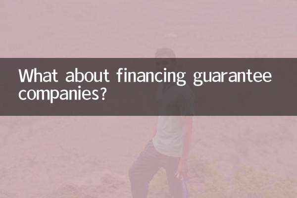 فنانسنگ گارنٹی کمپنیوں کے بارے میں کیا خیال ہے؟