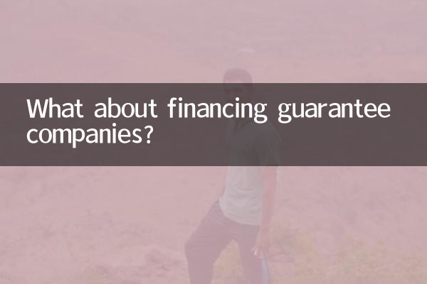 فنانسنگ گارنٹی کمپنیوں کے بارے میں کیا خیال ہے؟