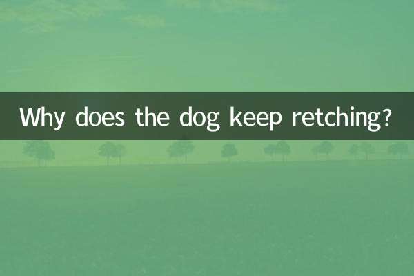 Why does the dog keep retching?