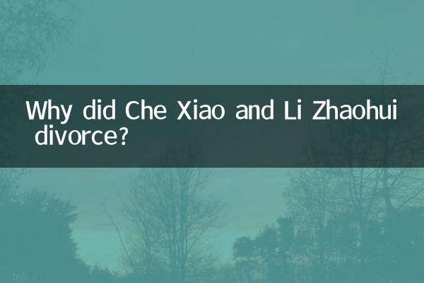 چی ژاؤ اور لی ژوہوئی نے طلاق کیوں کی؟