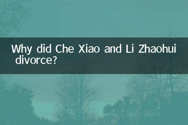 چرا چه شیائو و لی ژائوهویی طلاق گرفتند؟