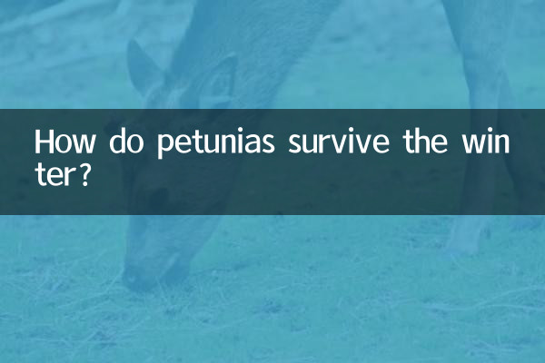 কিভাবে petunias শীতকালে বেঁচে থাকে?