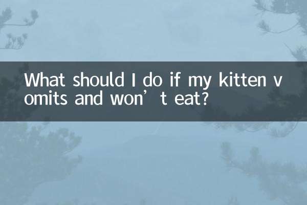 আমার বিড়ালছানা যদি বমি করে এবং না খায় তবে আমার কী করা উচিত?