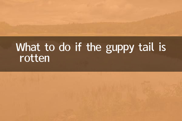 グッピーの尻尾が腐った場合の対処法