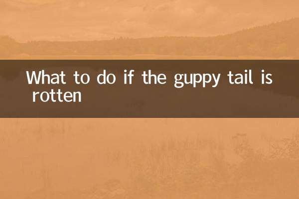 グッピーの尻尾が腐った場合の対処法