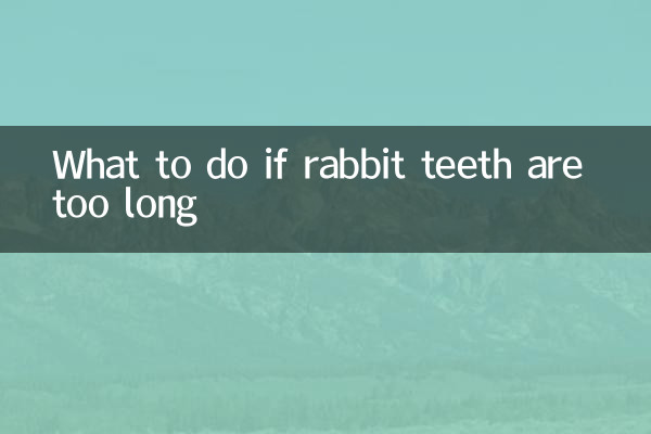 What to do if rabbit teeth are too long