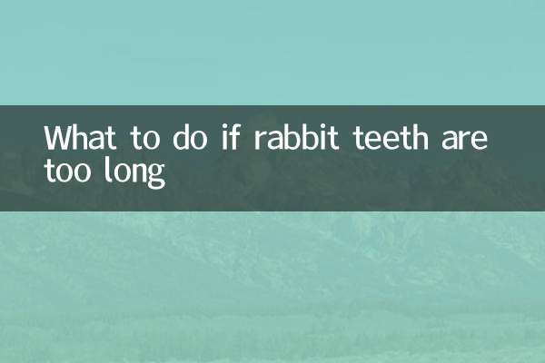 What to do if rabbit teeth are too long