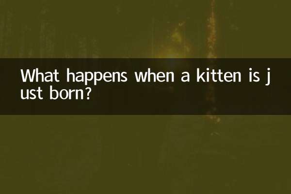 幼貓剛出生怎麼