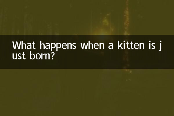 একটি বিড়ালছানা সবেমাত্র জন্মগ্রহণ করলে কি হয়?