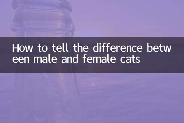 Wie erkennt man den Unterschied zwischen männlichen und weiblichen Katzen?