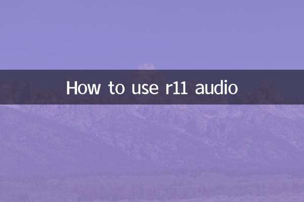 কিভাবে r11 অডিও ব্যবহার করবেন