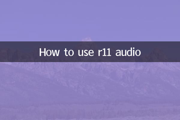 কিভাবে r11 অডিও ব্যবহার করবেন